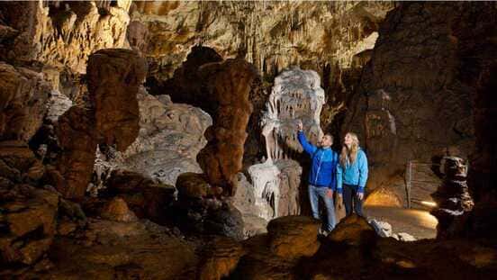 Biosensors in Caves: Monitoring Fragile Underground Ecosystems